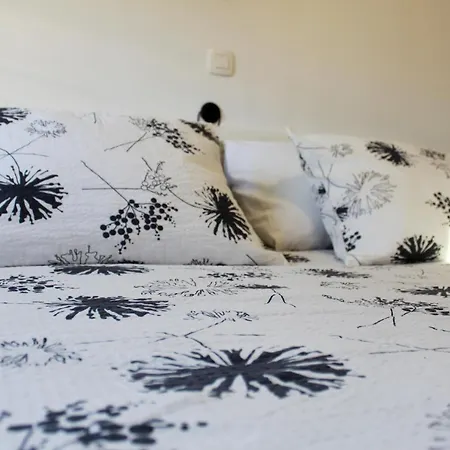 Entire Unit Lima *free Parking Space